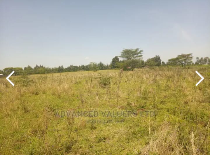 2 ACRES OF LAND FOR SALE IN OLORONGAI, KABARAK